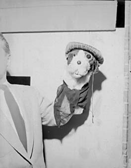 A hand puppet in a flat cap and neckerchief mounted on the set wall, with a man's shoulder in the foreground.